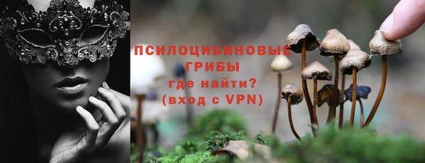 прущие грибы Аркадак