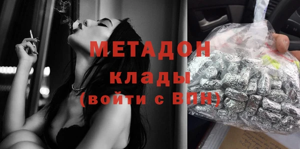 прущие грибы Аркадак