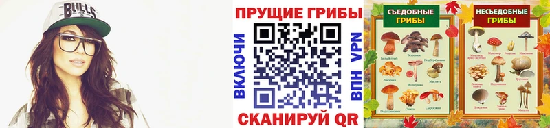 Псилоцибиновые грибы Psilocybe  Петров Вал 